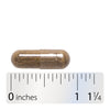 Nature's Way® | Raspberry Leaf - Capsule and ruler Sku:16100