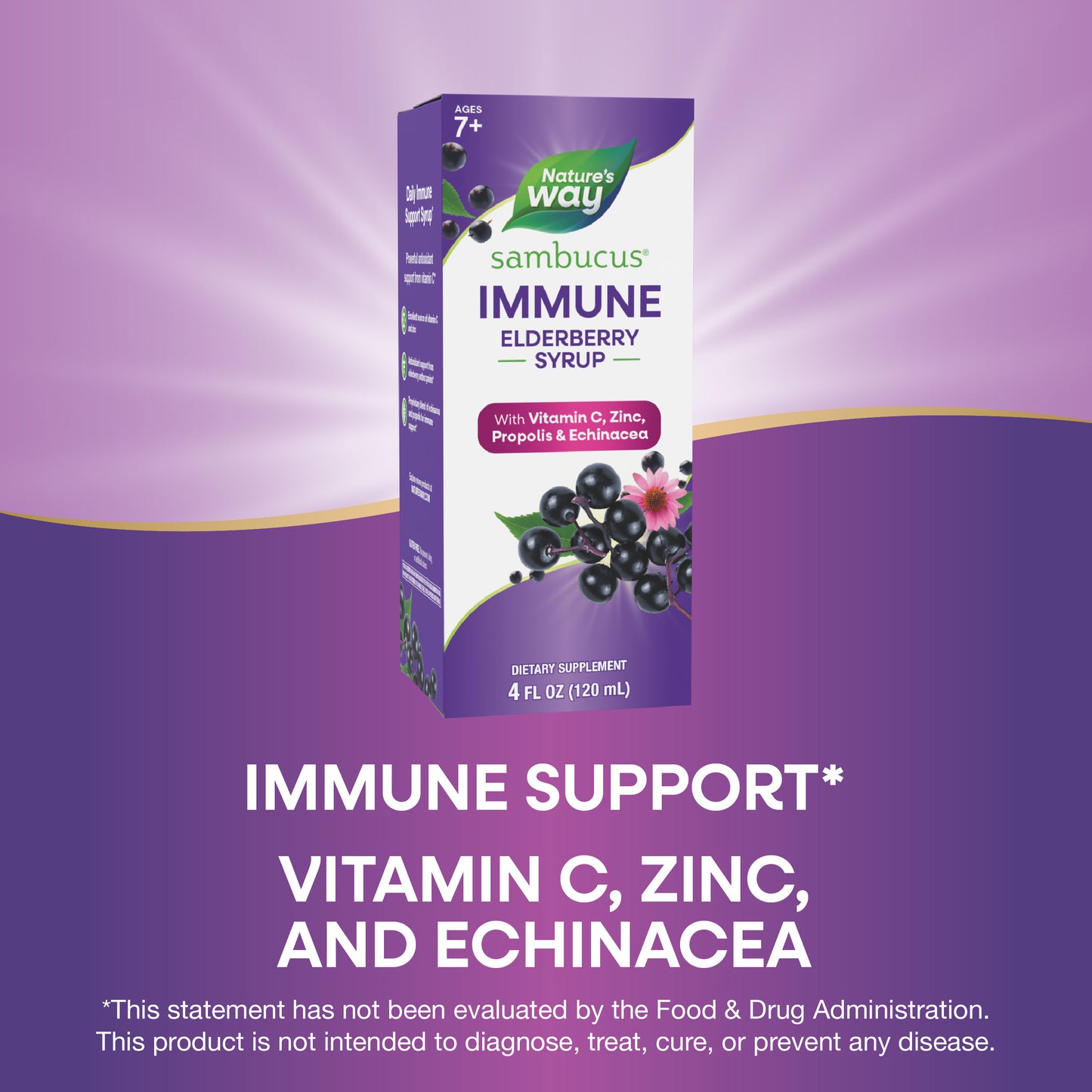 <{%MAIN6_6974%}>Nature's Way® | Sambucus Immune Elderberry Syrup