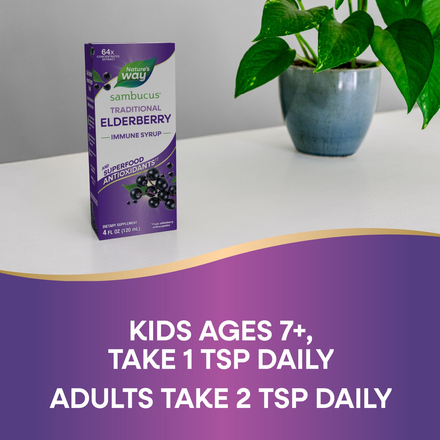 <{%DETAIL2_6970%}>Nature's Way® | Sambucus Traditional Elderberry Immune Syrup