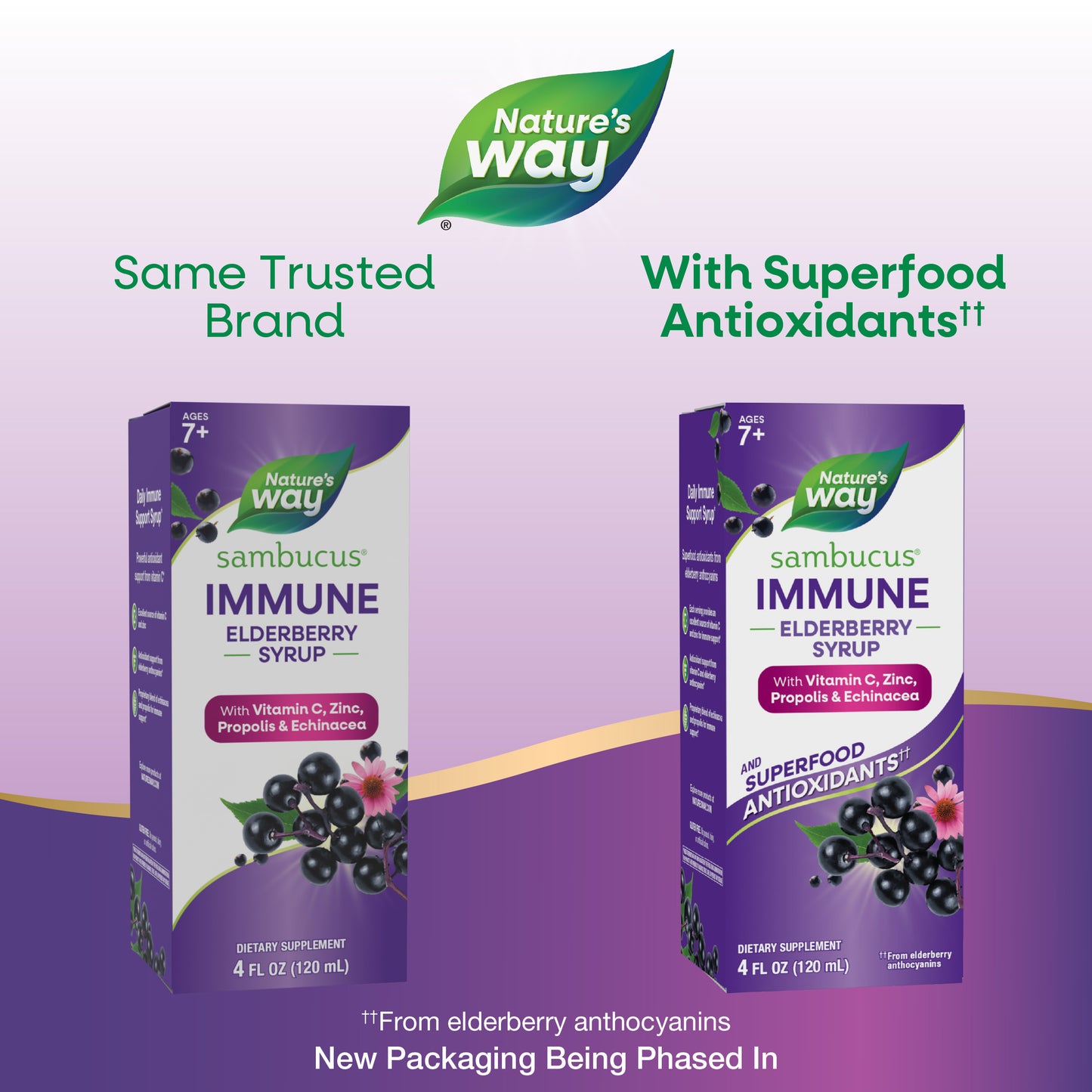 <{%MAIN1_6974%}>Nature's Way® | Sambucus Immune Elderberry Syrup
