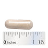 Nature's Way® | Vitamin C with Bioflavonoids Extra Strength - Capsule and ruler Sku:15464