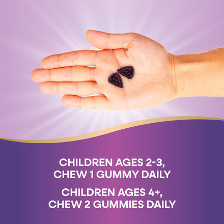 Sambucus Kids Elderberry Immune Gummies Supplement Facts