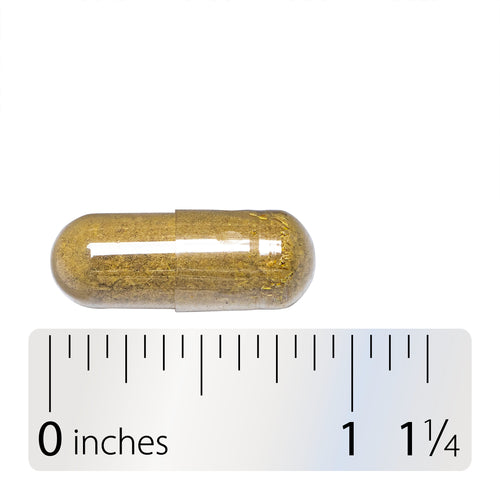 Nature's Way® | Oregon Grape - Capsule and ruler Sku:14159