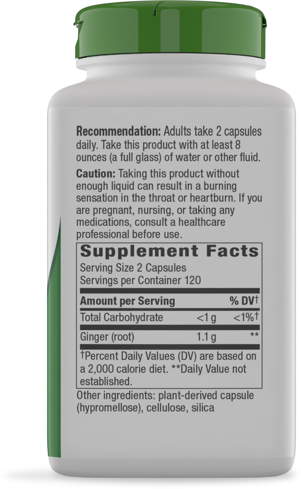 <{%MAIN18_11926%}>Nature's Way® | Ginger Root - right side of pack