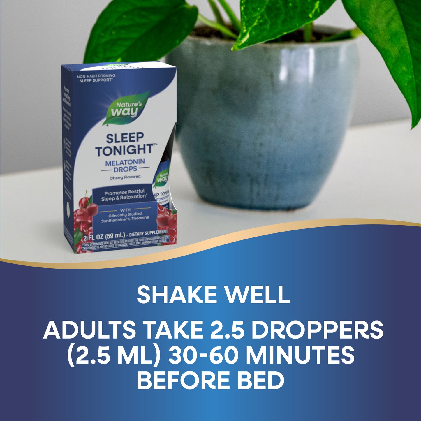 <{%DETAIL2_10746%}>Nature's Way® | Sleep Tonight Melatonin Drops