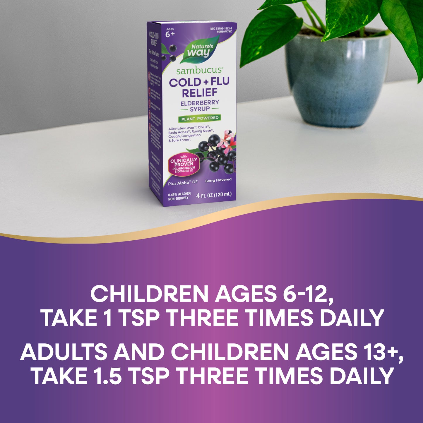 <{%DETAIL2_15136%}>Nature's Way® | Sambucus Cold+Flu Relief Elderberry Syrup