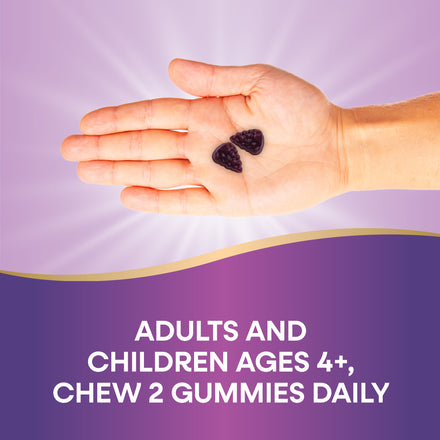 Sambucus Kids Elderberry Immune Gummies Supplement Facts