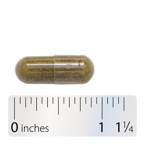 Nature's Way® | Skullcap Herb - Capsule and ruler Sku:16900