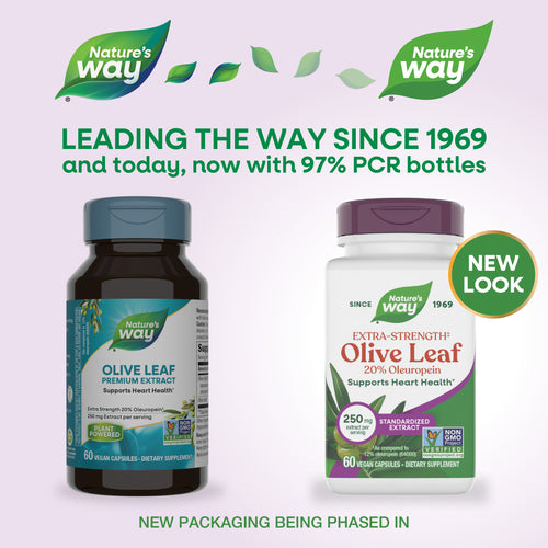 Nature's Way® | Olive Leaf Standardized Extract Sku:15480