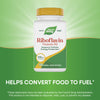 Nature's Way® | Riboflavin Vitamin B2 Sku:40421