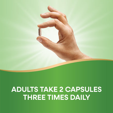 Dong Quai Root Supplement Facts