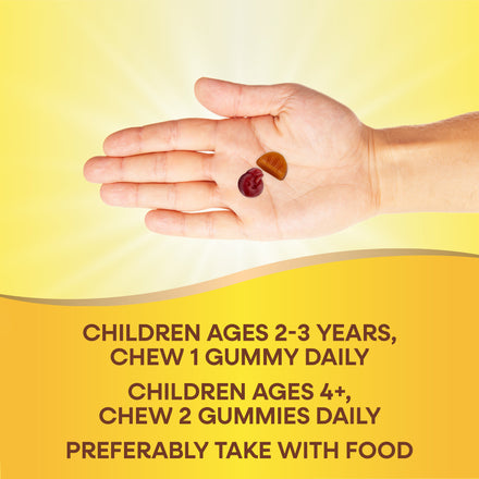 Alive!® Kids Multivitamin Gummy Supplement Facts
