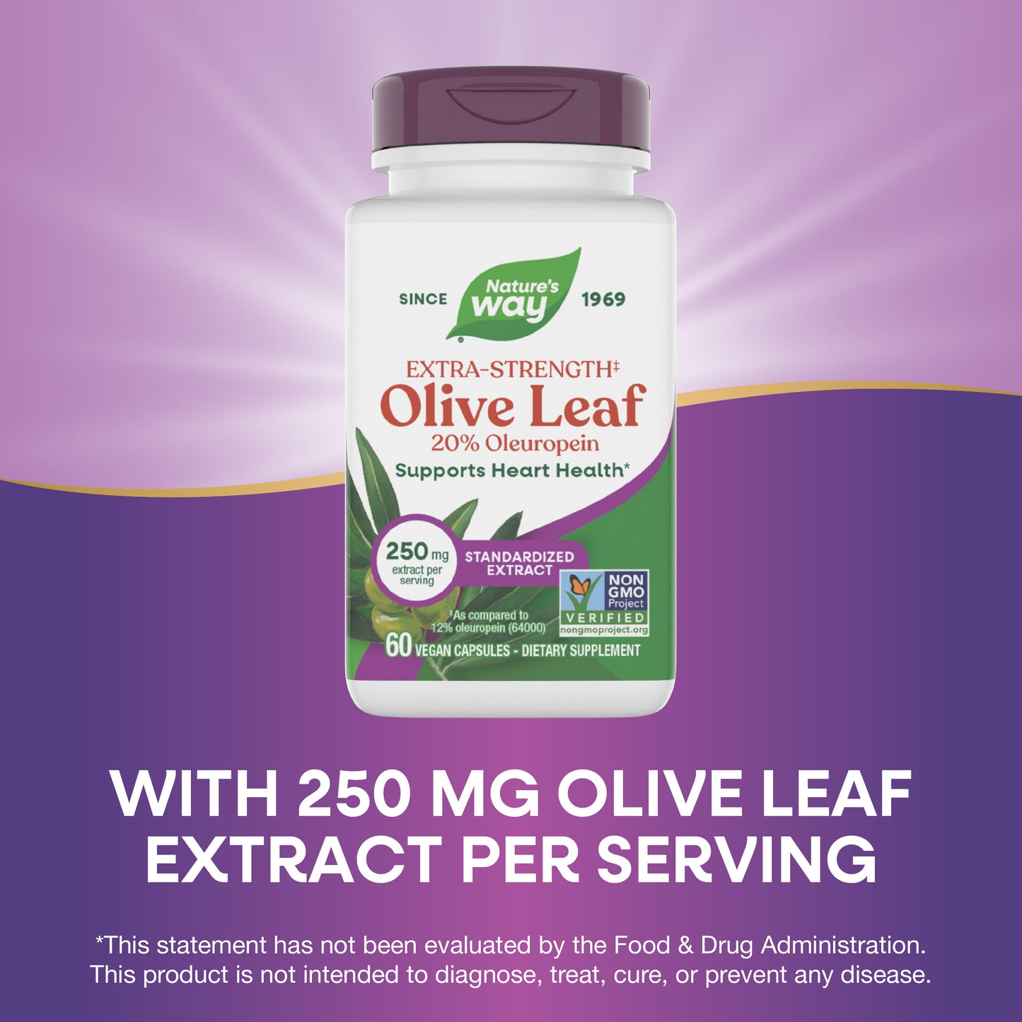 <{%MAIN6_15480%}>Nature's Way® | Olive Leaf Standardized Extract