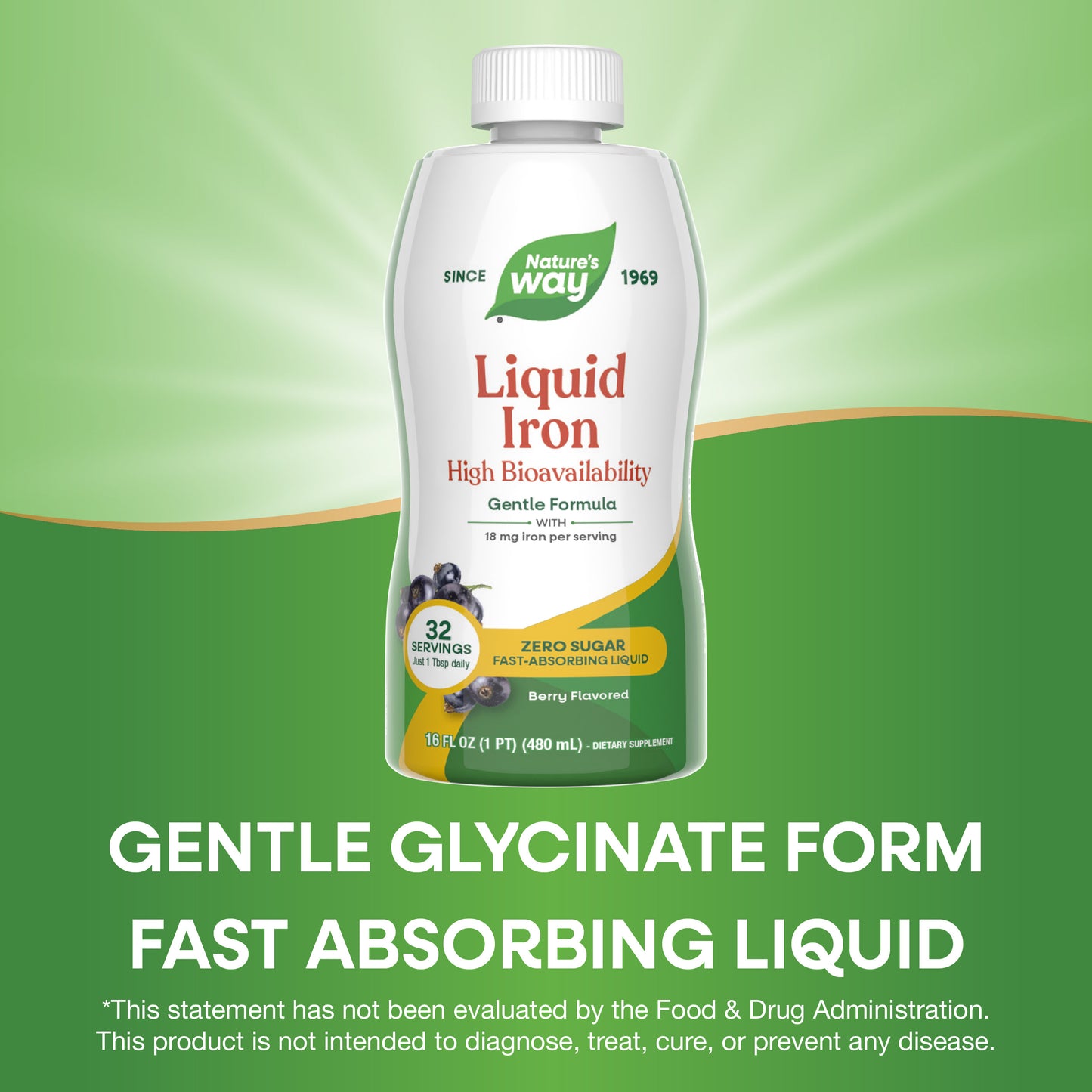 <{%MAIN5_ST1923%}>Nature's Way® | Liquid Iron