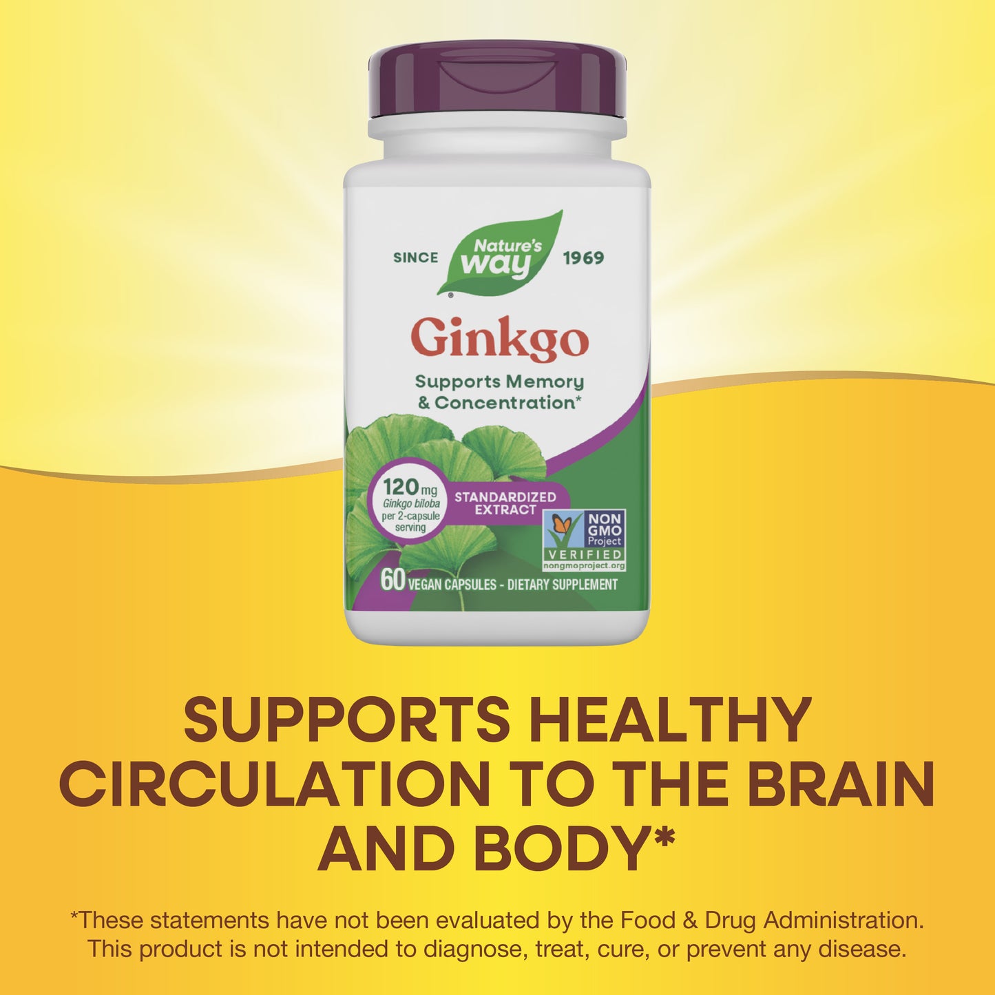 <{%MAIN14_61600%}>Nature's Way® | Ginkgo