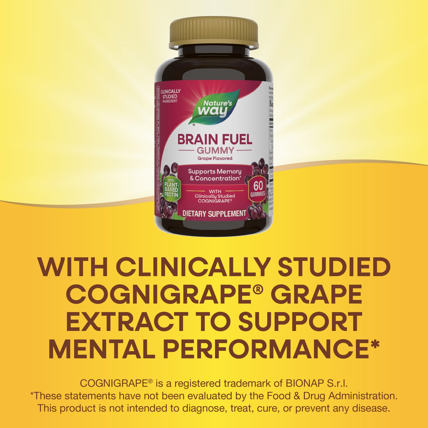 <{%MAIN5_14346%}>Nature's Way® | Brain Fuel Gummy