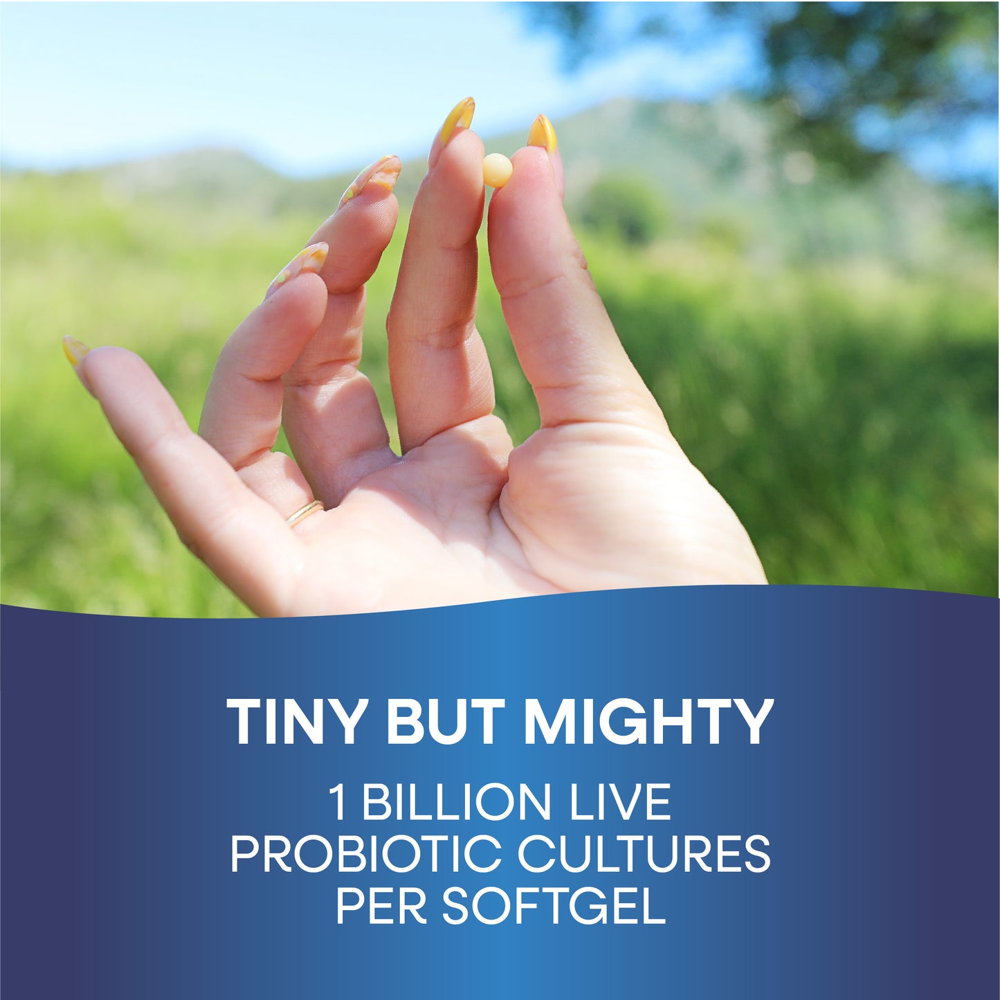 <{%MAIN9_04299%}>Nature's Way® | Probiotic Pearls Acidophilus