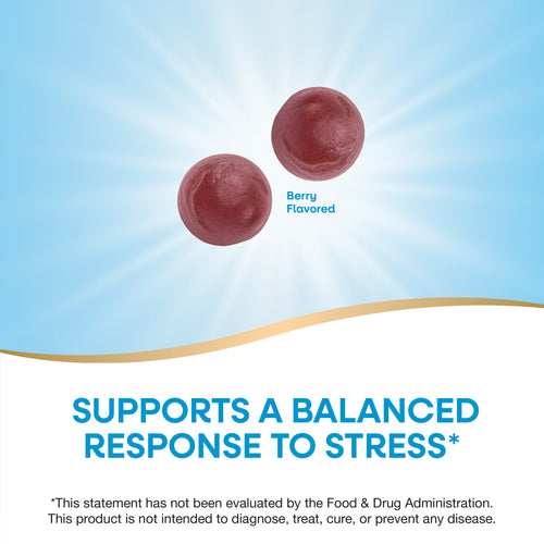 Nature's Way® | Ashwagandha Gummies Sku:13983