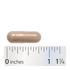 Nature's Way® | 5-Mushroom Blend - Capsule and ruler Sku:15780