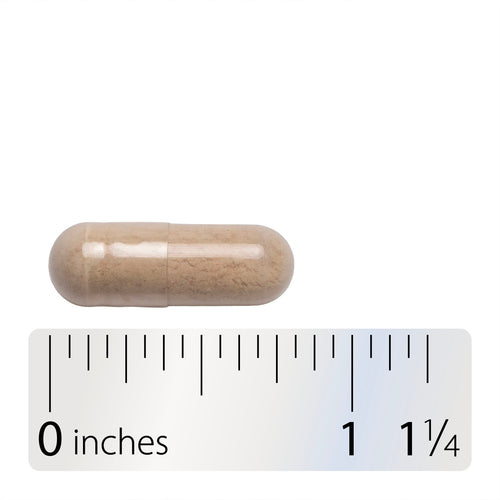 Nature's Way® | 5-Mushroom Blend - Capsule and ruler Sku:15780