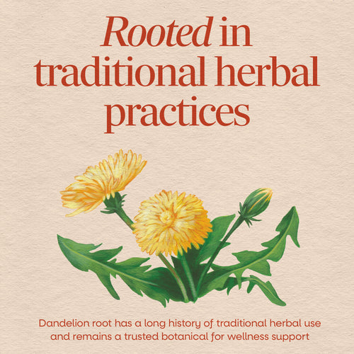 Nature's Way® | Dandelion Root Sku:12300