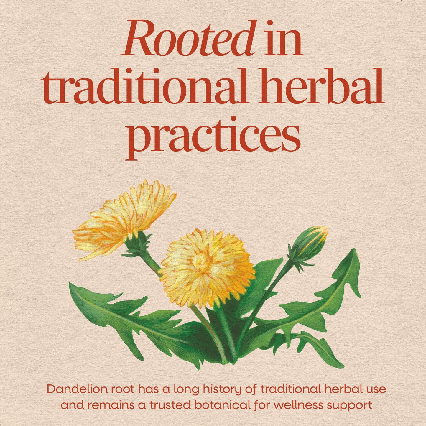 <{%MAIN12_12300%}>Nature's Way® | Dandelion Root