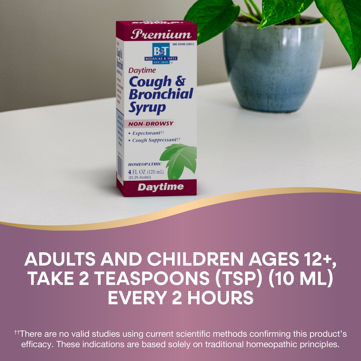 <{%DETAIL2_21900293%}>Nature's Way® | Boericke & Tafel Cough & Bronchial Syrup - product recommendations