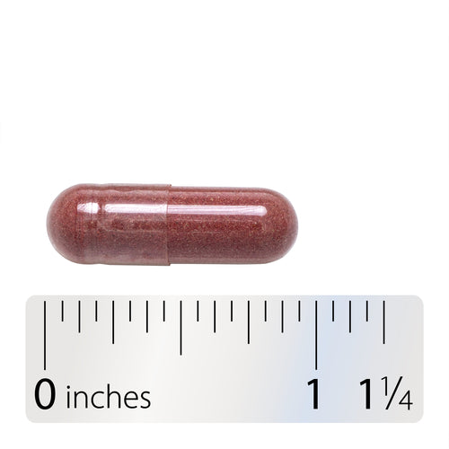Nature's Way® | Cranberry Fruit - Capsule and ruler Sku:12150