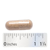 Nature's Way® | Siberian Eleuthero Root - Capsule and ruler Sku:13508