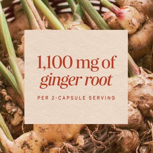 Nature's Way® | Ginger Root Sku:13100