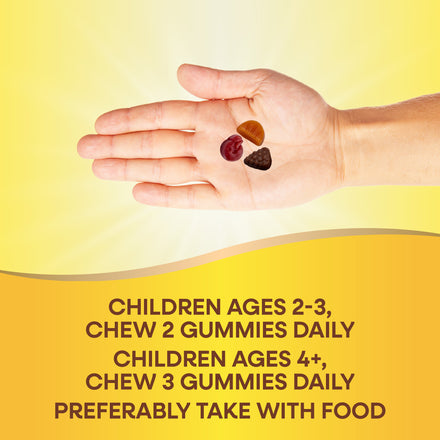 Alive!® Premium Kids Gummy Multivitamin Supplement Facts