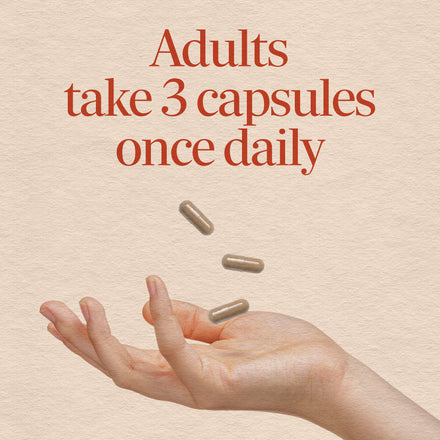 Dandelion Root Supplement Facts