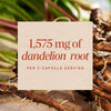 Dandelion Root