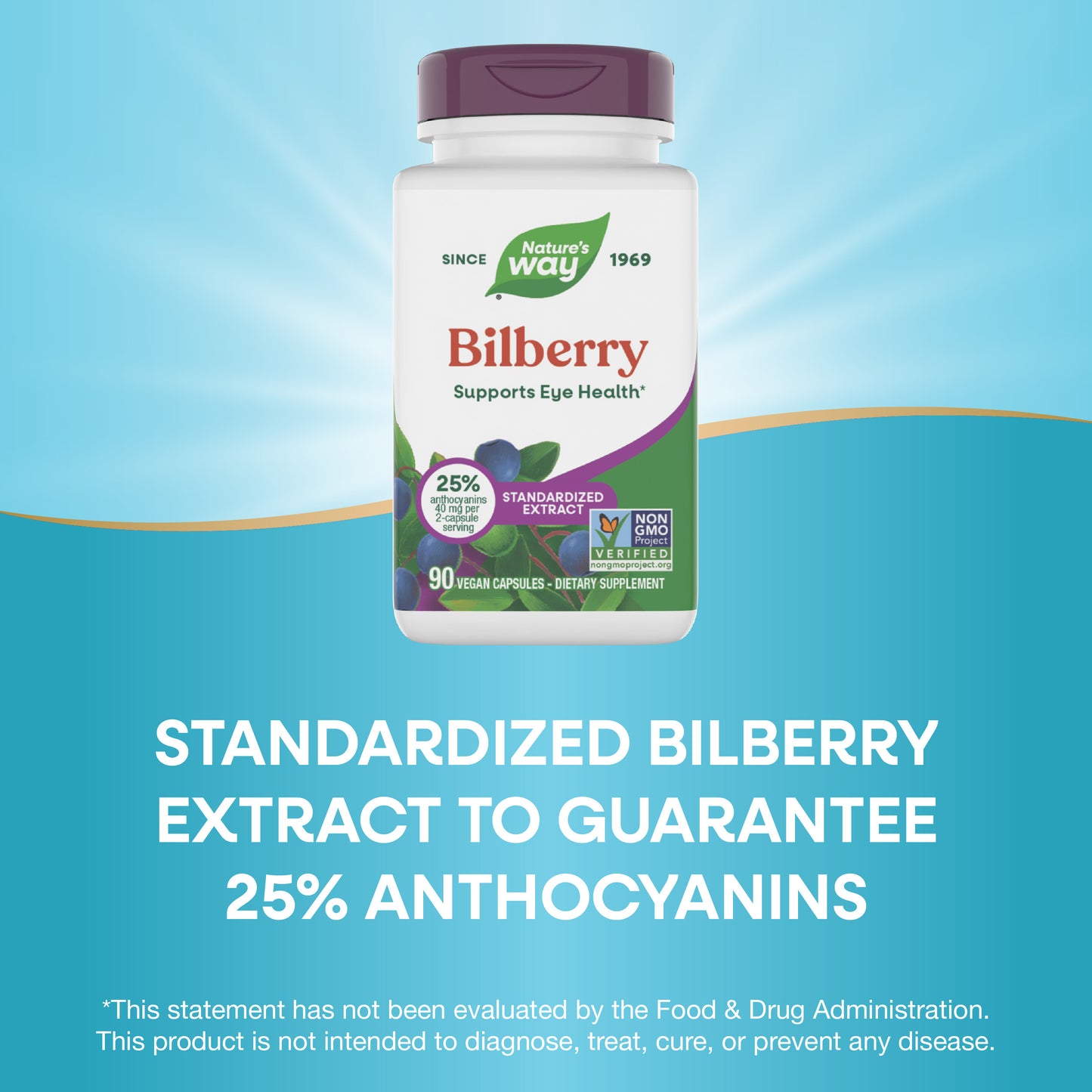 <{%MAIN14_60510%}>Nature's Way® | Bilberry