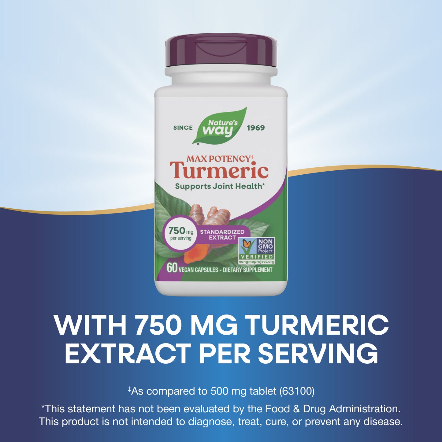 <{%MAIN6_10260%}>Nature's Way® | Turmeric Max Potency