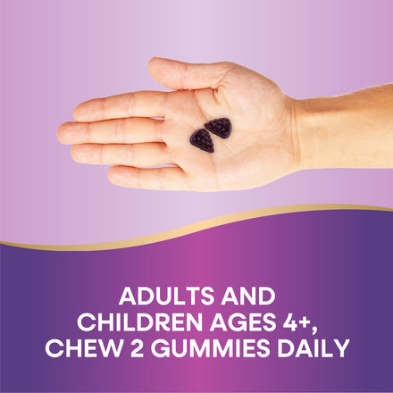 Sambucus Elderberry Zero Sugar Immune Gummy Supplement Facts