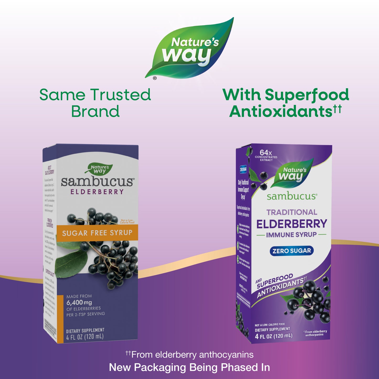 <{%MAIN1_6971%}>Nature's Way® | Sambucus Zero Sugar Traditional Elderberry Immune Syrup - package updates old to new