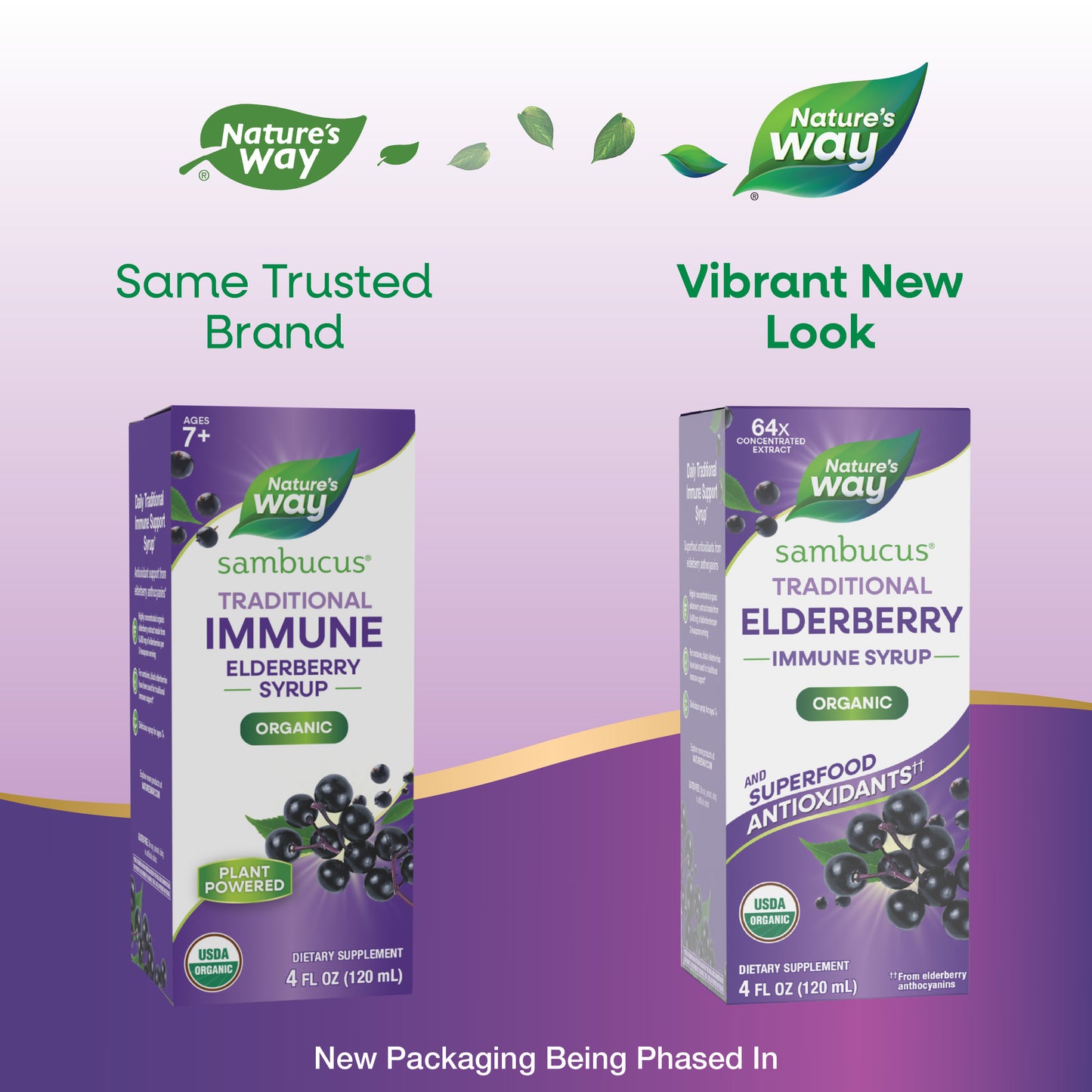 <{%MAIN1_15796%}>Nature's Way® | Sambucus Traditional Elderberry Immune Syrup - package updates old to new