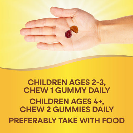 Alive!® Zero Sugar Gummy Multivitamin for Kids Supplement Facts