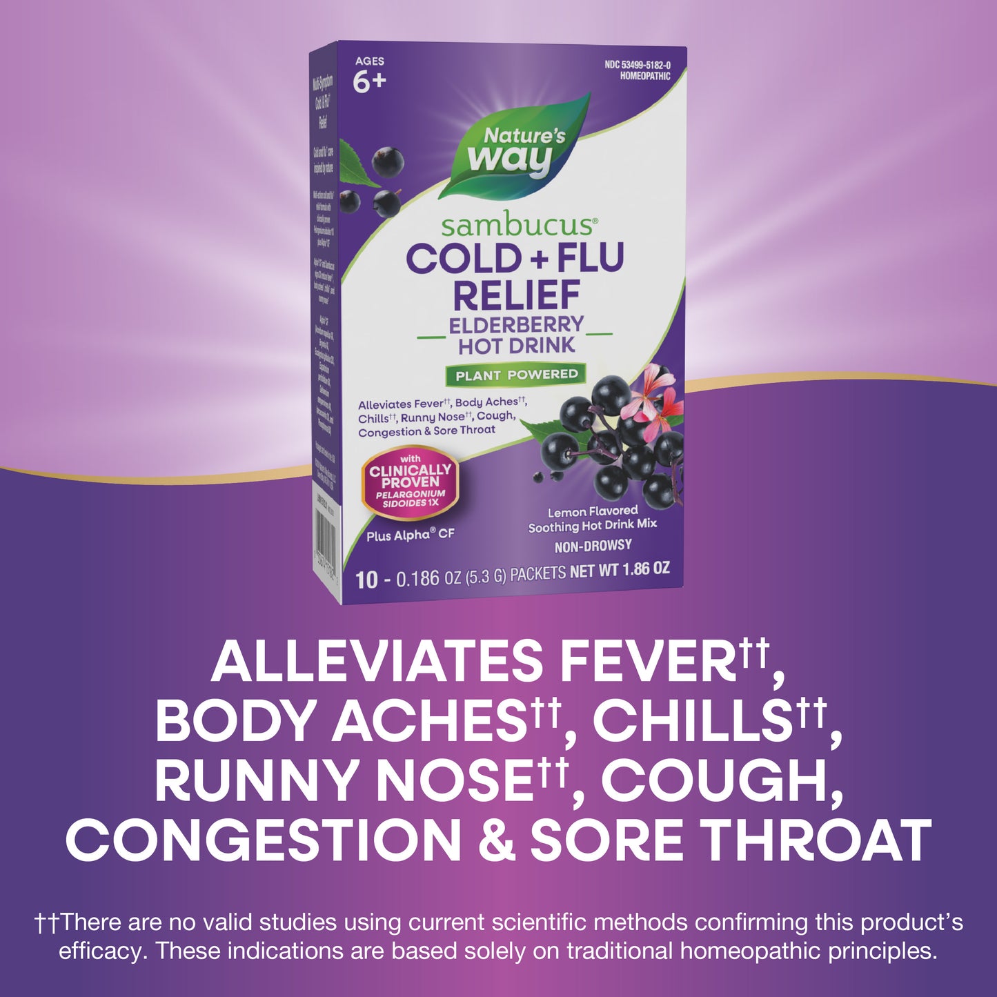 <{%MAIN5_15182%}>Nature's Way® | Sambucus Cold+Flu Relief Elderberry Hot Drink