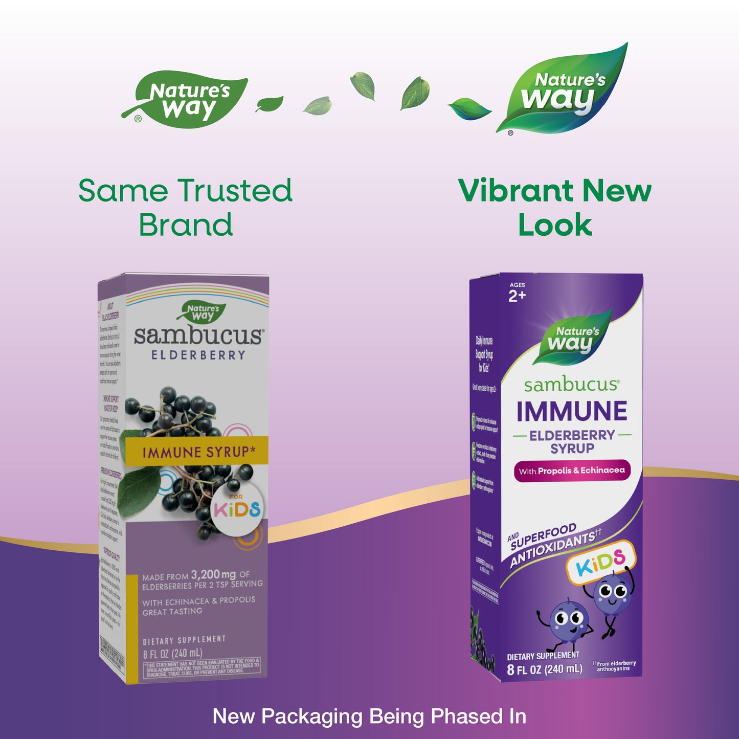 <{%MAIN1_15359%}>Nature's Way® | Sambucus Immune Elderberry Syrup for Kids*