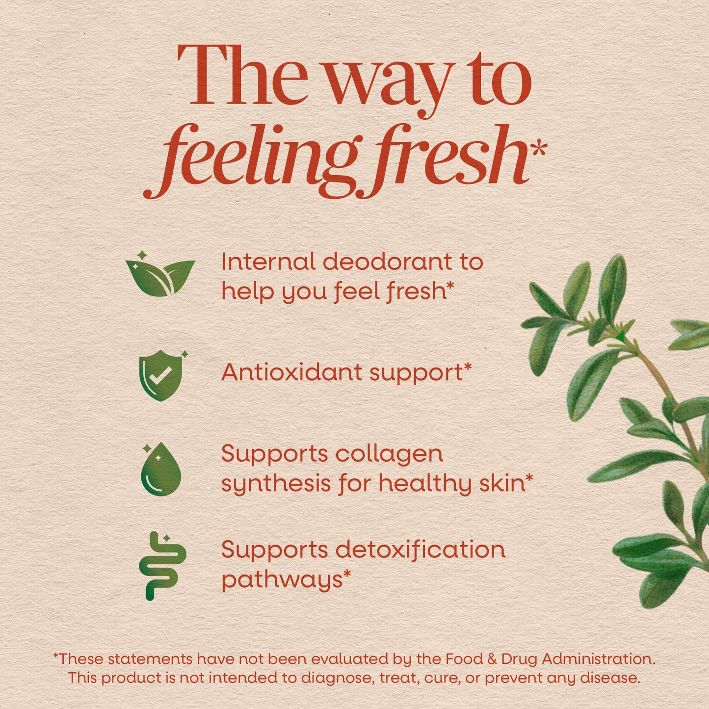 <{%MAIN2_3550%}>Nature's Way® | Chlorofresh Chlorophyll Concentrate