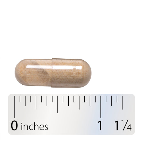 Nature's Way® | Asian Ginseng - Capsule and ruler Sku:13400