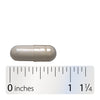 Nature's Way® | Primadophilus Reuteri Probiotics - Capsule and ruler Sku:14240