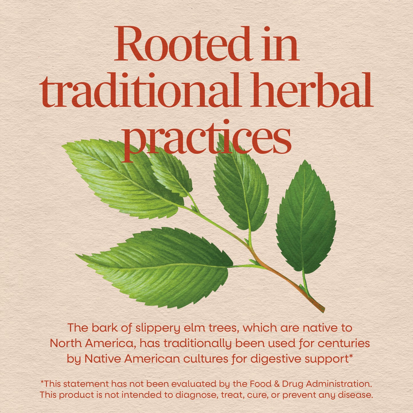 <{%MAIN2_17100%}>Nature's Way® | Slippery Elm Bark