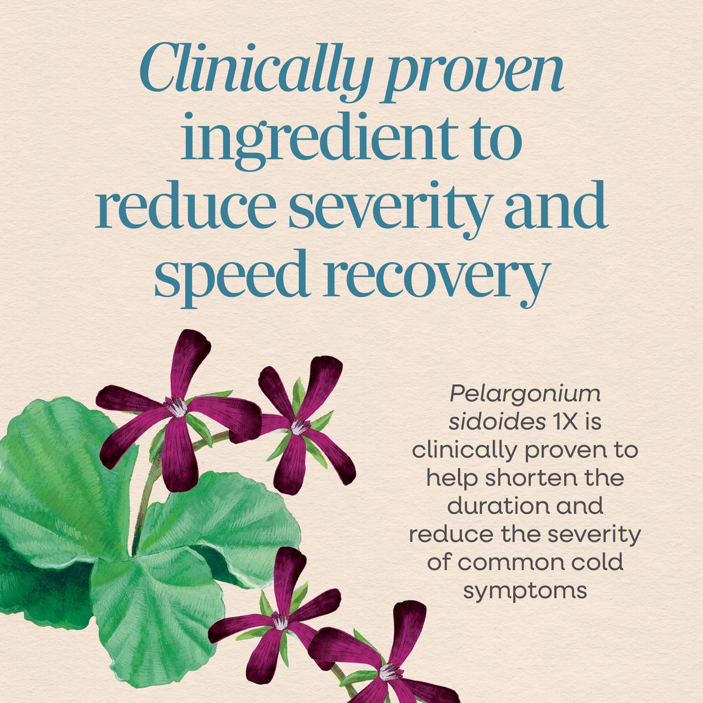 <{%MAIN3_10601%}>Nature's Way® | Umcka® Cold Relief Hot Drink