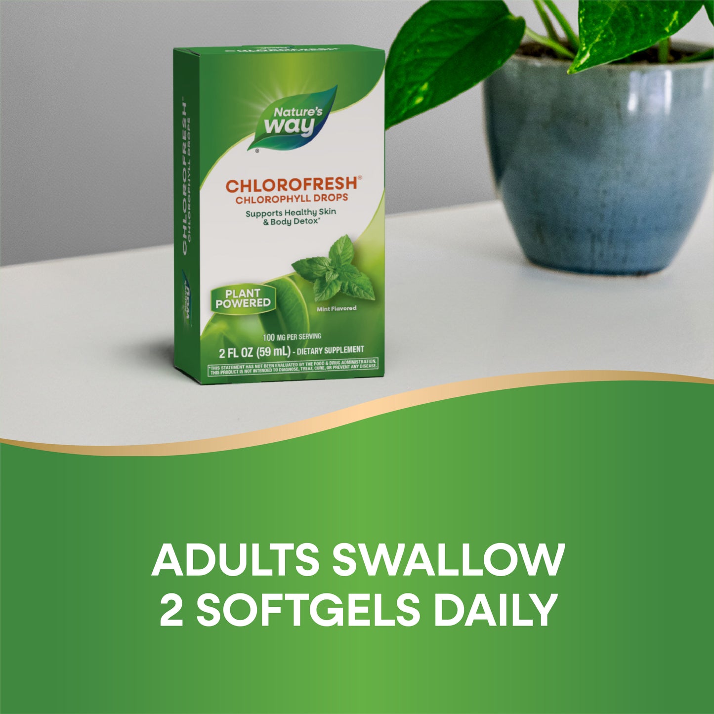 <{%DETAIL2_10008%}>Nature's Way® | Chlorofresh Chlorophyll Drops