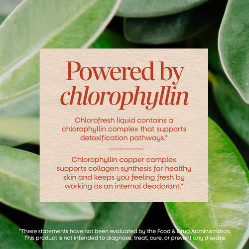 Nature's Way® | Chlorofresh Liquid Chlorophyll Sku:3501