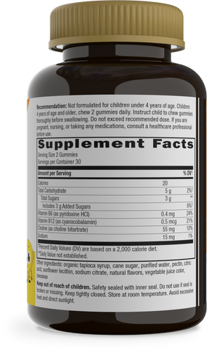 Nature's Way® | Kids Brain Builder Gummies - right side of pack Sku:13882