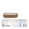 Nature's Way® | Cascara Sagrada - Capsule and ruler Sku:11300